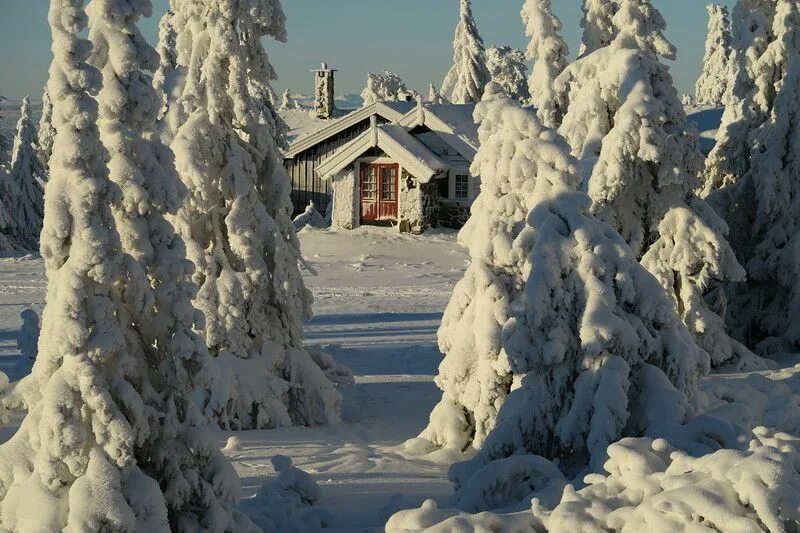 Покажи фото зимы Яндекс.Фотки переехали Пейзажи, Зимняя фотография, Фотографии