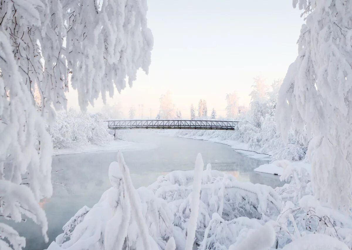 Покажи фото зимы Winter Wonderland in Alaska