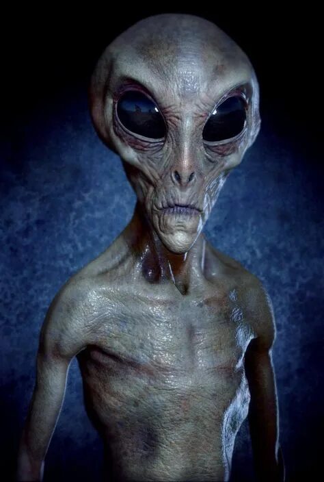 Покажи как выглядит настоящая Top 10 alien pics ideas and inspiration