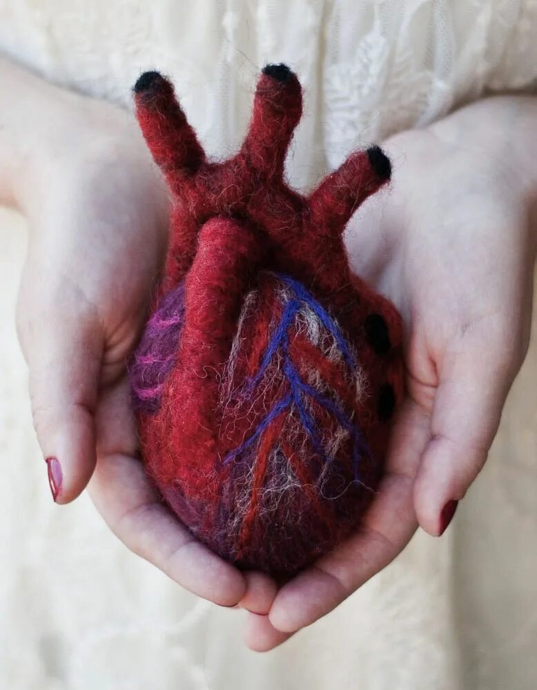 Покажи как выглядит настоящее сердце needle felted real heart from OnceAgainSam Felt heart, Anatomical heart, Knitted