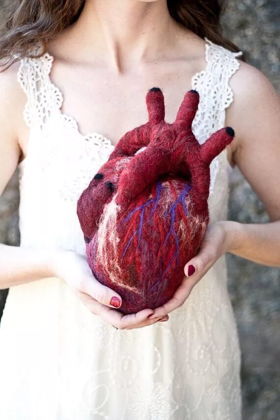 Покажи как выглядит настоящее сердце Heartfelt XL Anatomical Heart Needle Felted Organ Etsy in 2021 Anatomical heart,