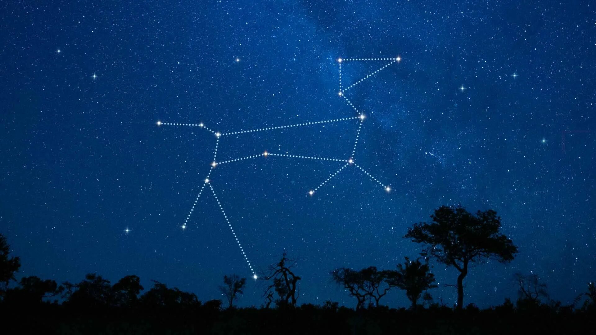 Покажи как выглядит созвездие большого пса Taurus Constellation Stars, Facts, Mythology, Location Where Is Taurus the Bull 