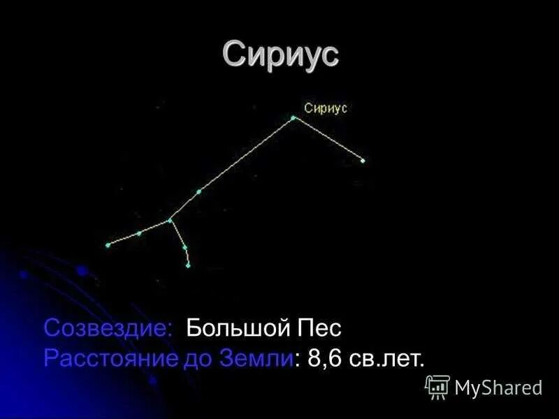 Покажи как выглядит созвездие большого пса Яркая звезда Сириус в созвездии Большого Пса. личный блог