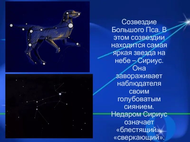 Покажи как выглядит созвездие большого пса Проект созвездие большого пса