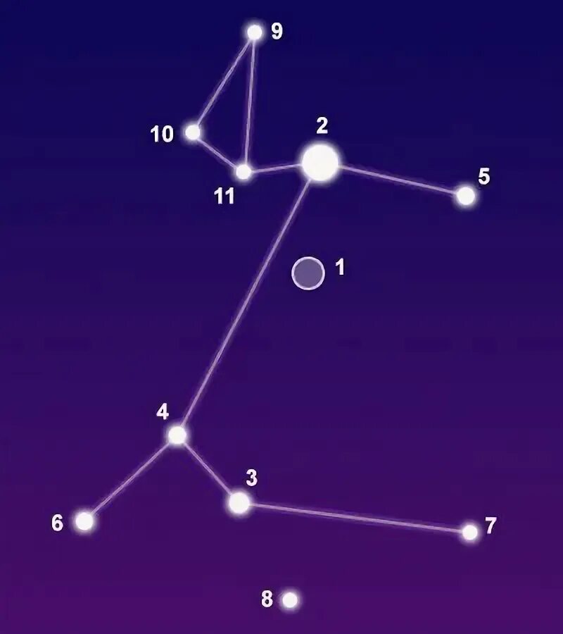 Покажи как выглядит созвездие большого пса The constellation Canis Major showing common points of interest Constellations, 