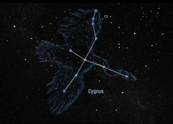 Покажи как выглядит созвездие лебедя Cygnus Constellation Cygnus constellation, Constellation tattoos, Virgo constell