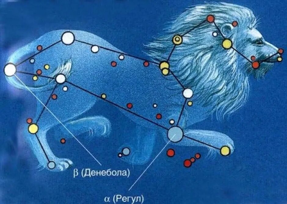 Покажи как выглядит созвездие льва Нарисовать созвездие льва 1 класс