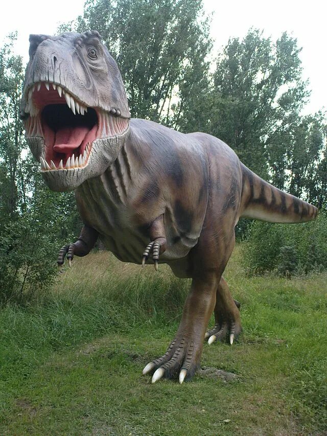 Покажи как выглядят настоящие динозавры Dinosaur Land (Rügen) - Wikipedia