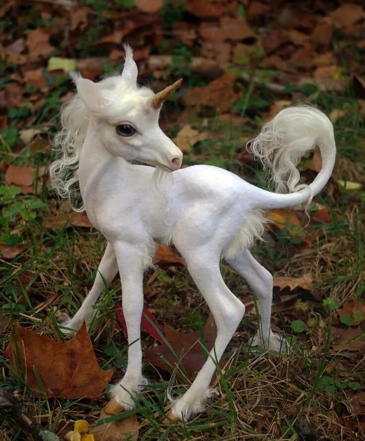 Покажи как выглядят настоящие единороги They are real... I knew it! Baby unicorn, Unicorn, Mythical creatures