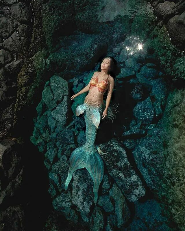 Покажи как выглядят настоящие русалки Mermaid Elite (@mermaidelite) * Instagram photos and videos Mermaid photography,