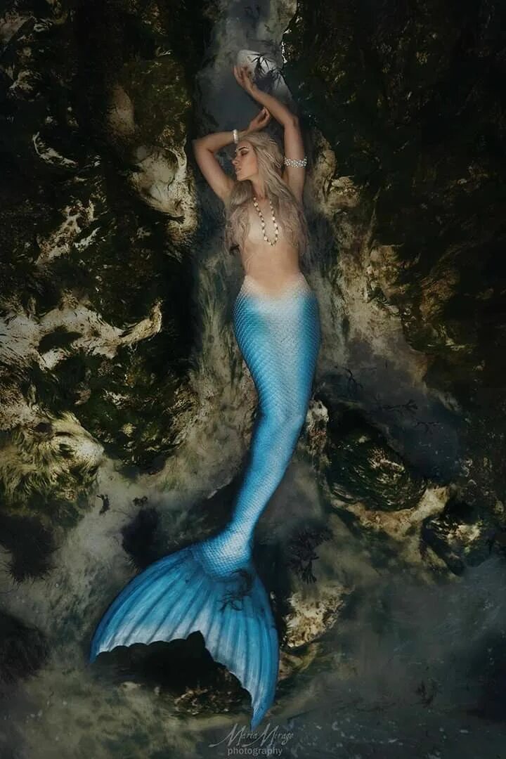 Покажи как выглядят настоящие русалки Pin auf Mermaid```❤`