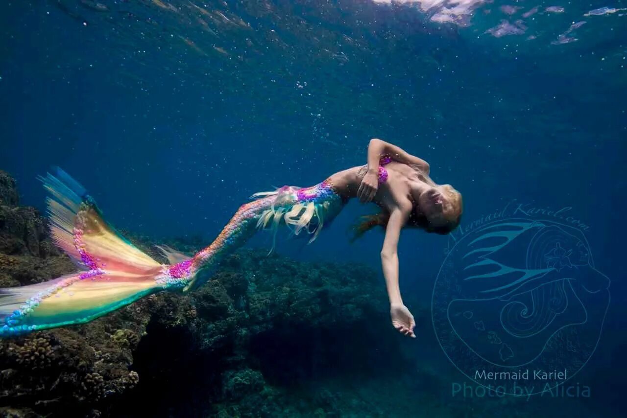 Покажи как выглядят настоящие русалки Mermaid life, Beautiful mermaids, Mermaid