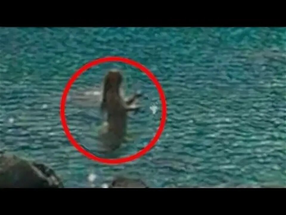 Покажи как выглядят настоящие русалки 5 Angels Caught On Camera Flying & Spotted In Real Life! #2 - YouTube in 2019 Re