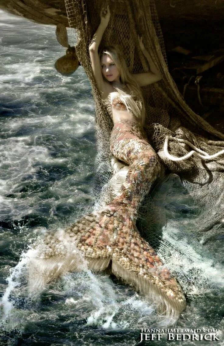 Покажи как выглядят настоящие русалки This woman is a professional mermaid and the pics are INCREDIBLE Mermaid picture