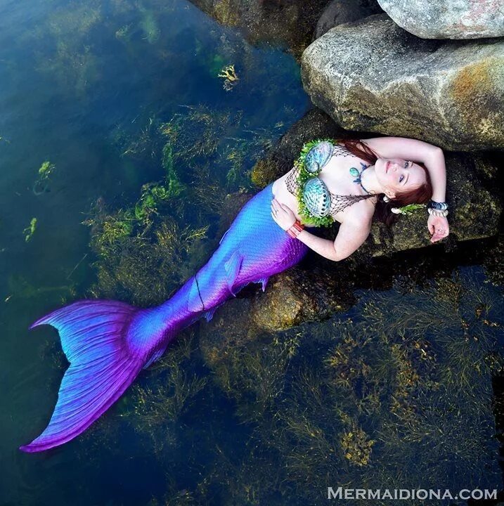 Покажи как выглядят настоящие русалки Image result for mermaid princesses real life Mermaid pictures, Realistic mermai