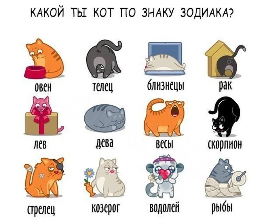 Покажи как выглядят знаки зодиака Meow ! 2023 Печать на футболках, кружках... * Кот Подаркин VK