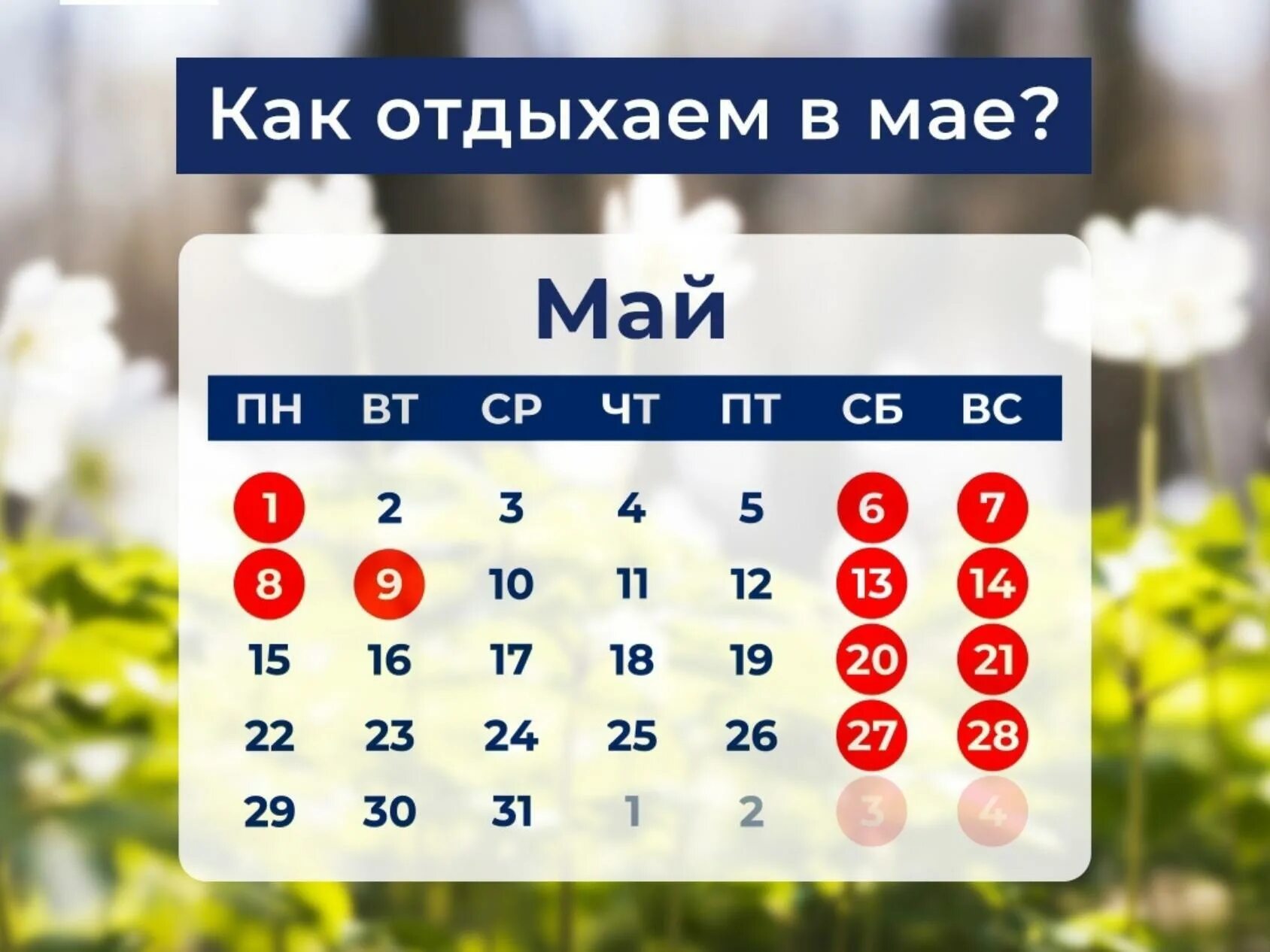 Покажи календарь на 25 год В мае жители Российской Федерации будут отдыхать 11 дней