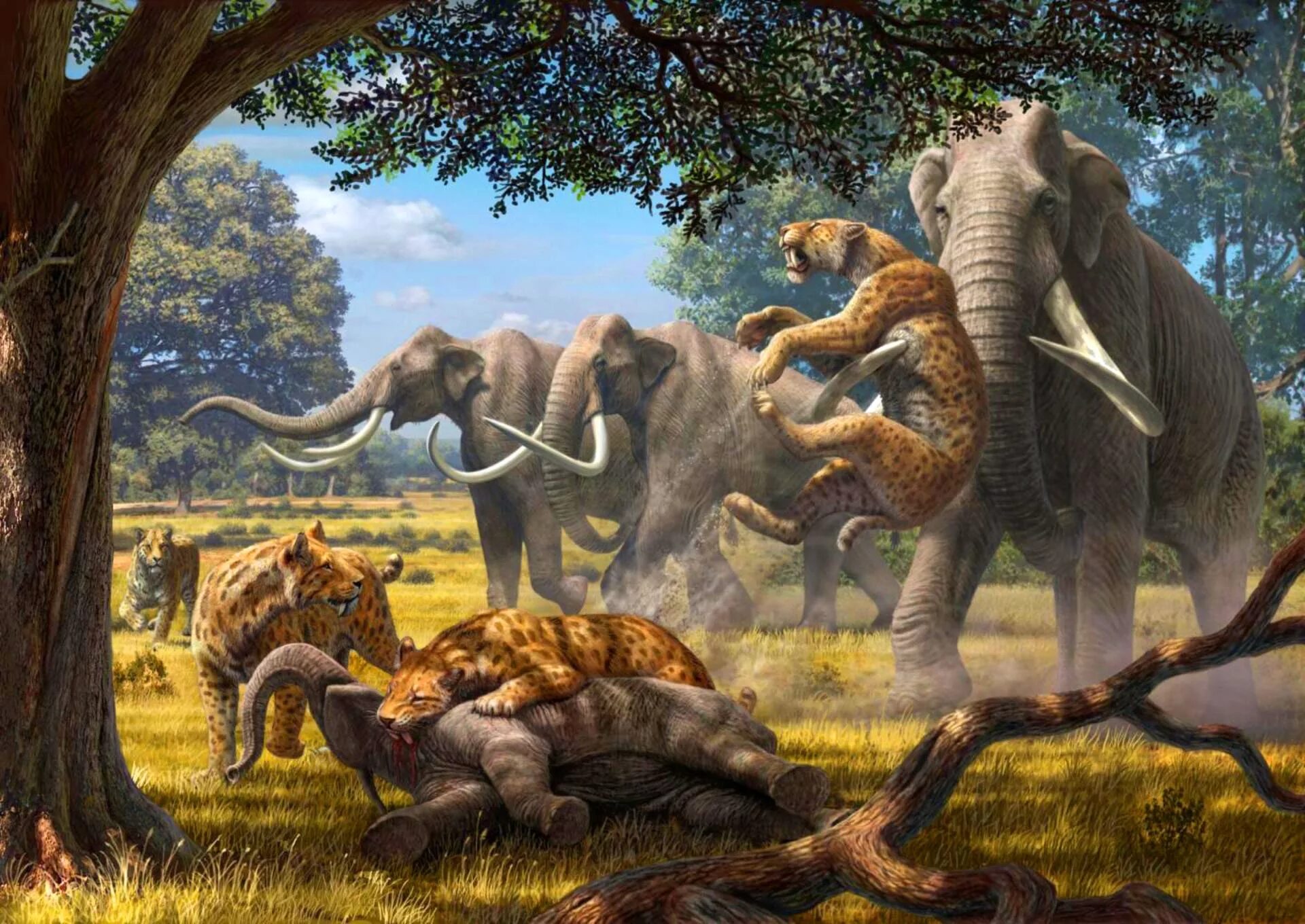 Покажи картинки древних животных Serengeti had more large-bodied mammals over 300kg in the Pleistocene than today