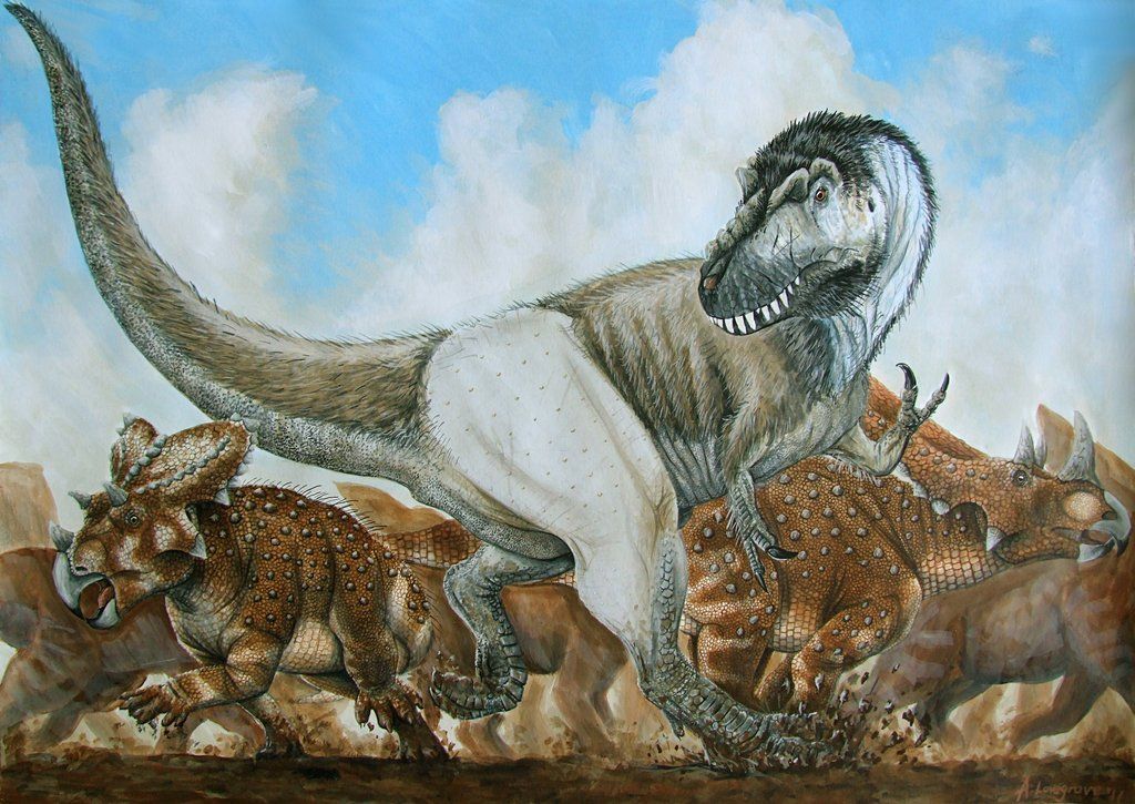 Покажи картинки древних животных Daspletosaurus attacks by alexander nevsky Prehistoric animals, Dinosaur art, Pr