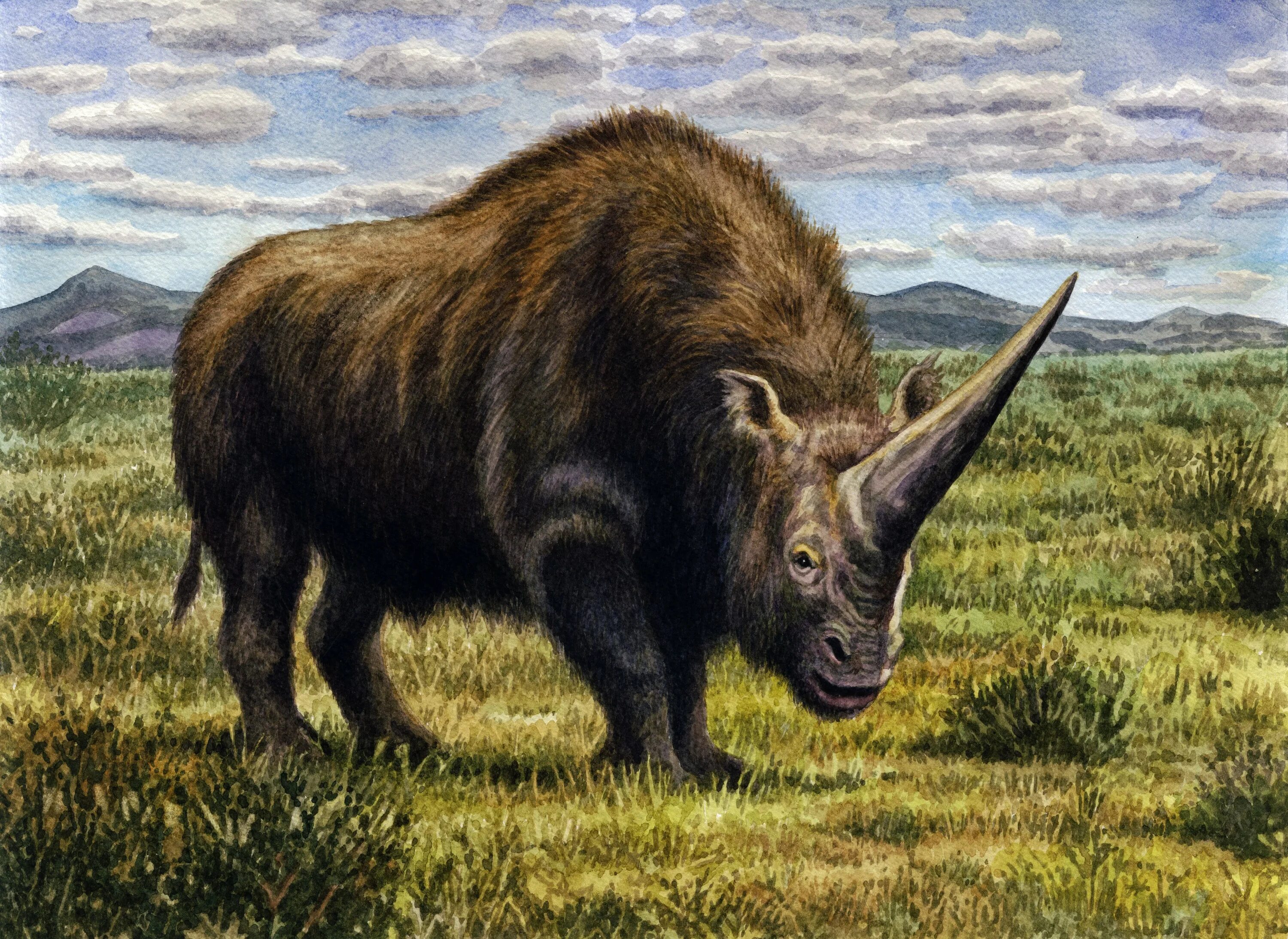 Покажи картинки древних животных Extinct 'Siberian unicorn' may have lived alongside humans University of Oxford