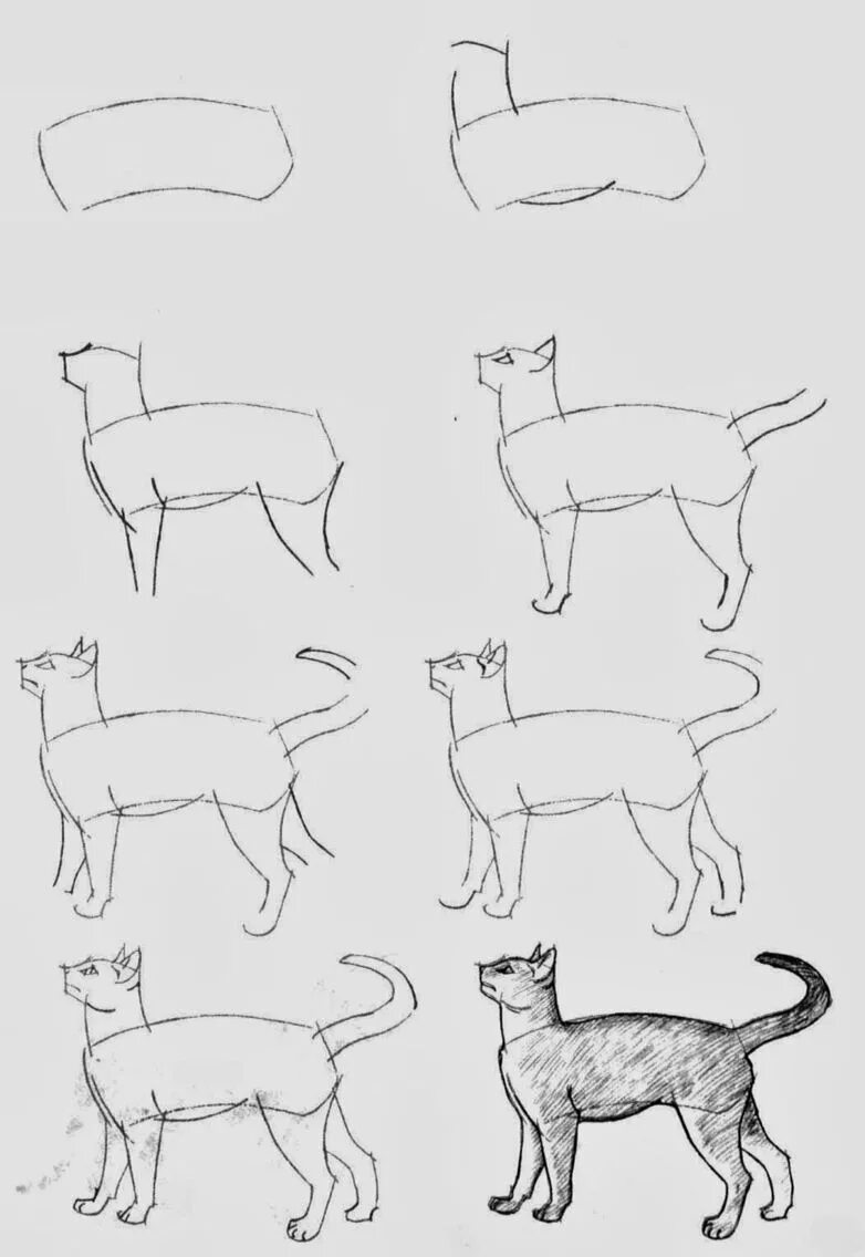 Покажи картинки как рисовать животных Cat Walking Cat drawing tutorial, Animal drawings, Cat drawing