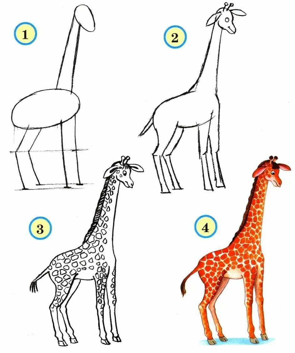 Покажи картинки как рисовать животных 11.Учимся рисовать животных Giraffe drawing, Easy drawings, Animal drawings