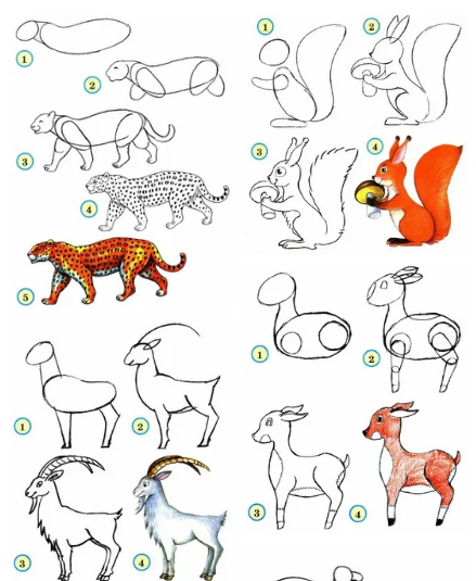 Покажи картинки как рисовать животных Как нарисовать рисунок "Красота животных" карандашом?