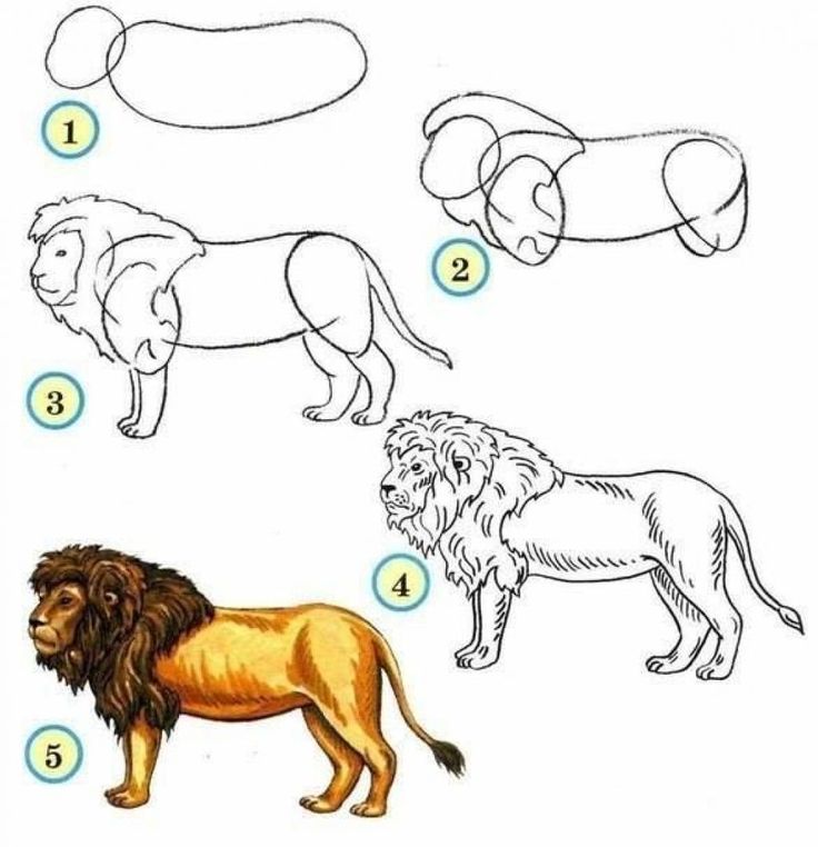 Покажи картинки как рисовать животных Apprendre à dessiner aux enfants, étape par étape! 17 animaux faciles à dessiner