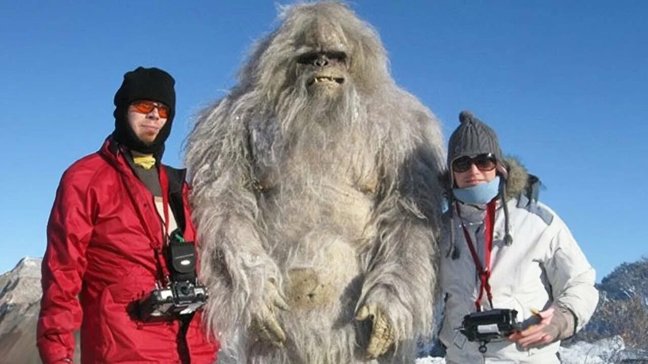 Покажи картинки как выглядит настоящий Top 5 Unexplained Yeti Sightings Too REAL To Ignore - YouTube