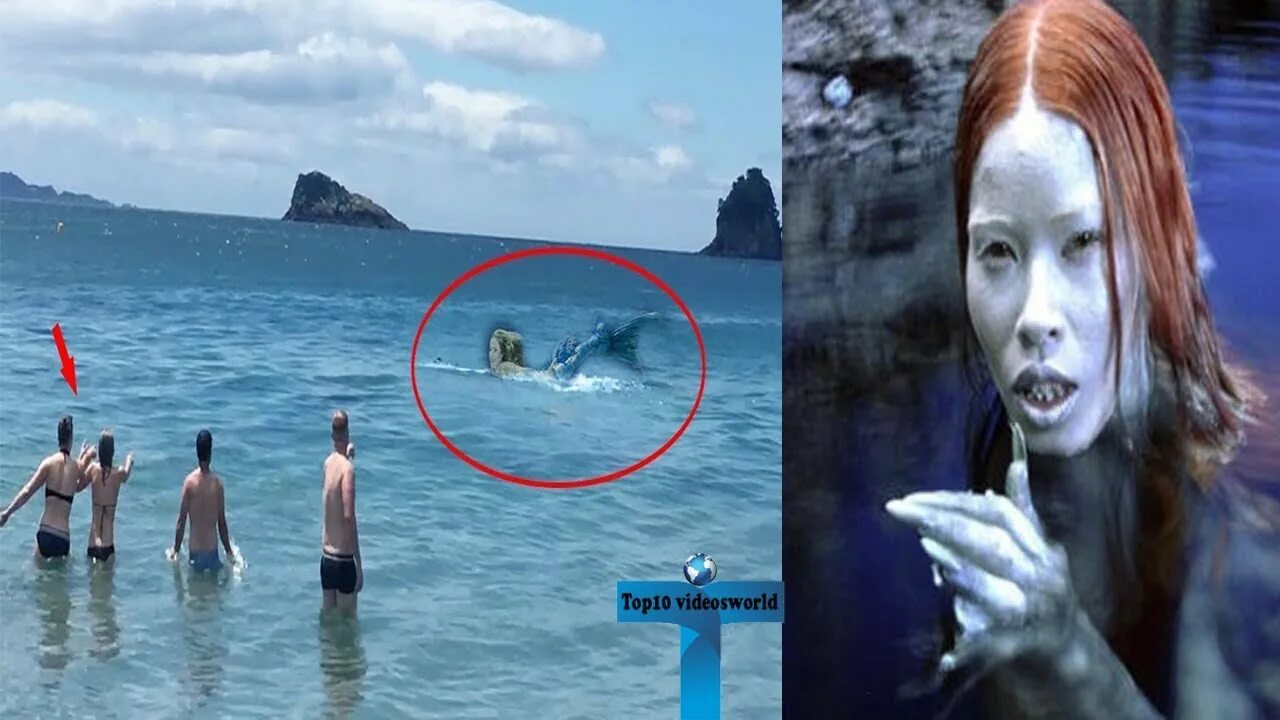 Покажи картинки как выглядит настоящий Top 10 Unbelievable Real Mermaids Caught On Camera Around the World - YouTube