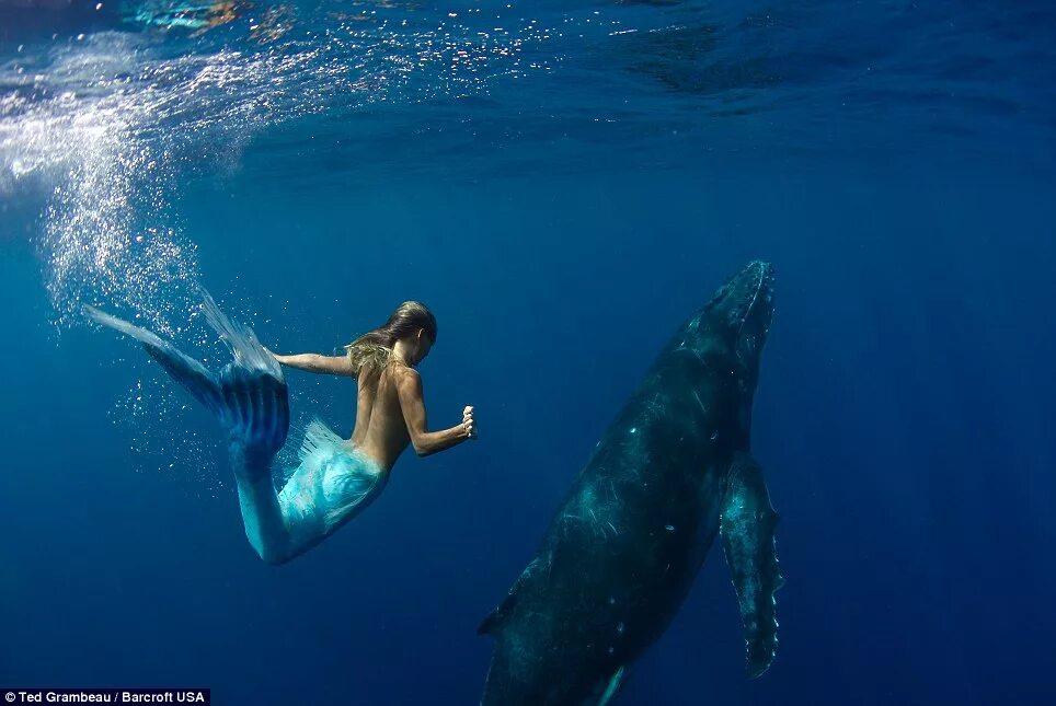 Покажи картинки как выглядит настоящий Real-life mermaid swims with whales after making her own fish tail