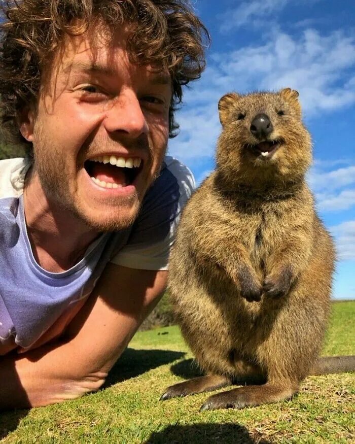 Покажи картинки людей животных This Guy Seems To Befriend Any Animal He Meets, Here Are 30 Of His Best Selfies 