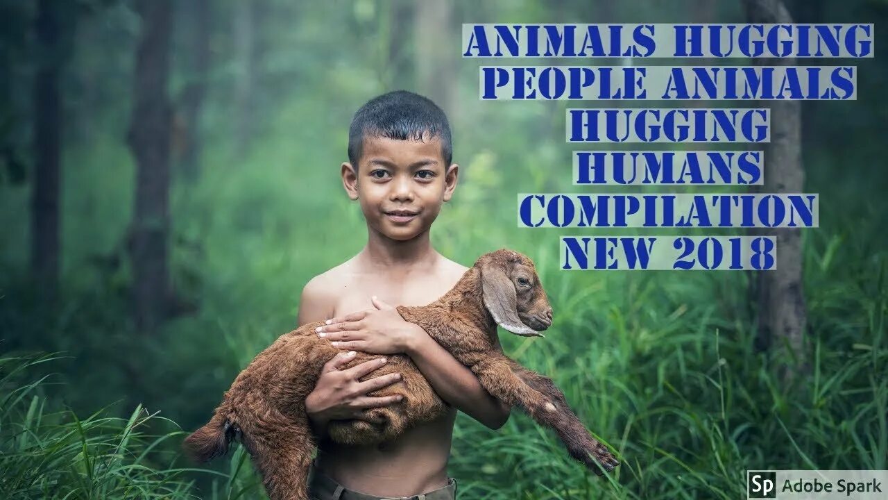 Покажи картинки людей животных Animals Hugging People Animals Hugging Humans Compilation New 2018 HD - YouTube