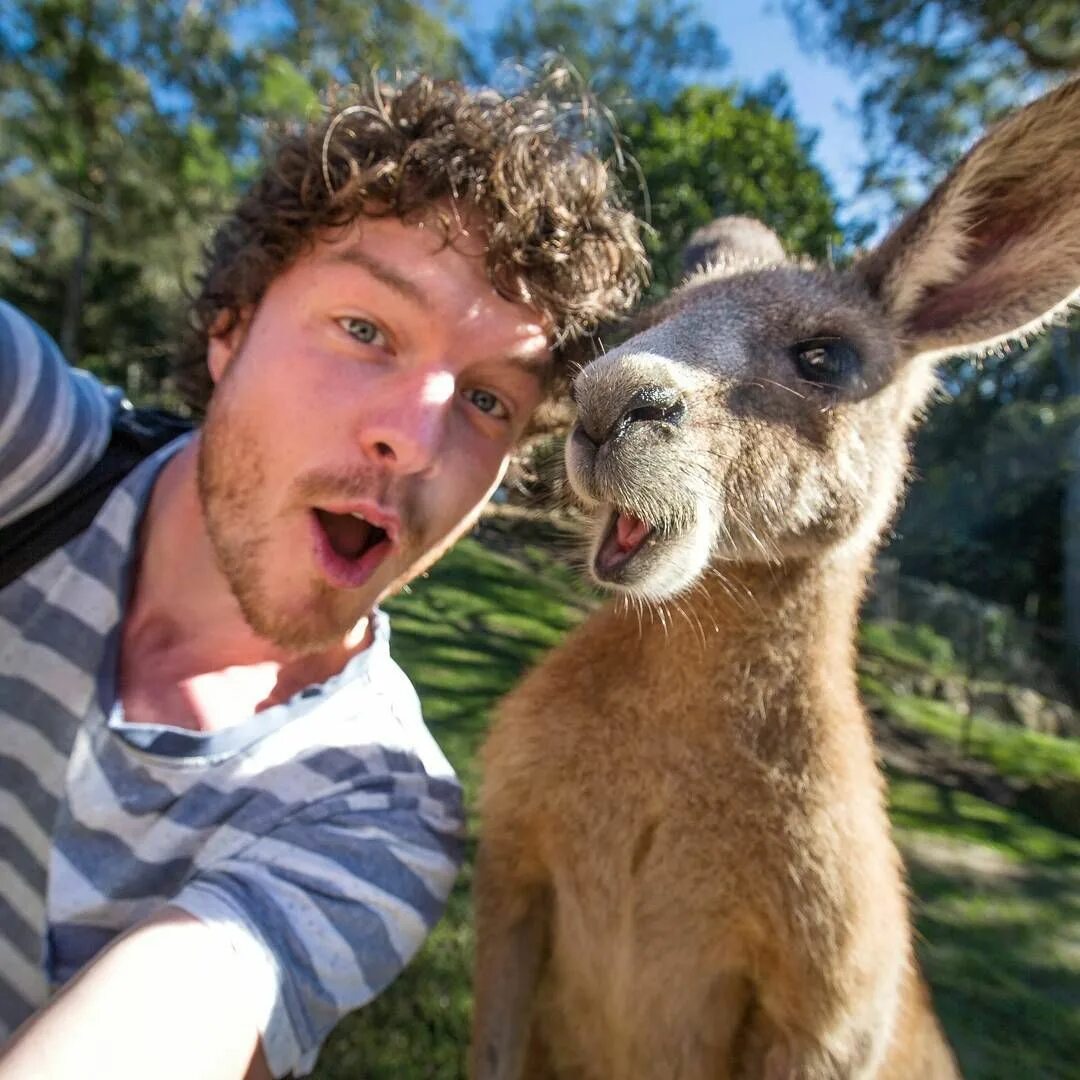 Покажи картинки людей животных Allan Dixon, the "Animal Whisperer" Animals, Quokka, Cute animals