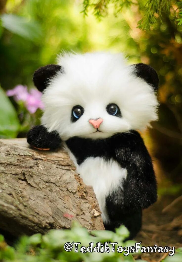 Покажи картинки самых милых животных Panda May-lun made to Order Teddy Bear Stuffed Animal Bear - Etsy Детеныши живот