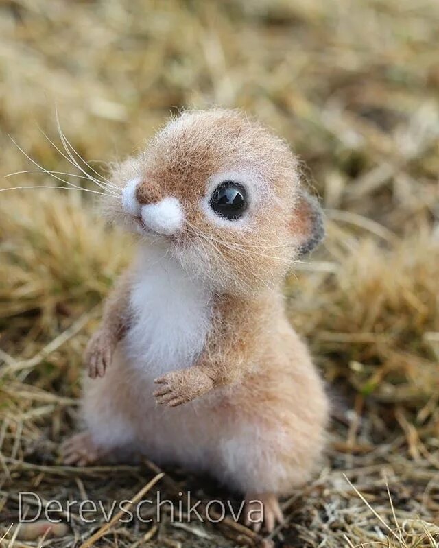 Покажи картинки самых милых животных NEEDLE FELTED ART Cuccioli di coniglio, Cuccioli di animale, Gattini piccoli