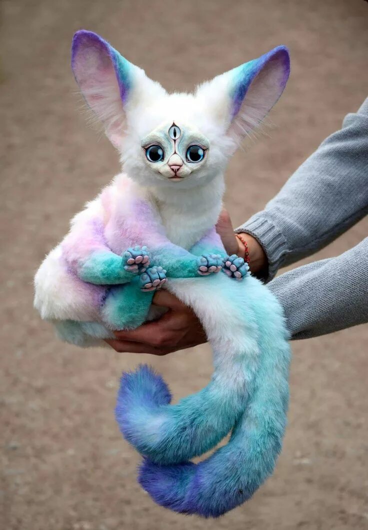 Покажи картинки самых редких животных Pin on Art Dolls and Dragons Cute baby animals, Cute little animals, Cute animal