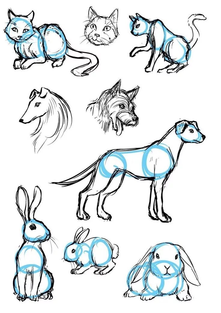 Покажи картинки животных нарисованные 40 Free & Easy Animal Sketch Drawing Ideas & Inspiration - Bosquejos de animales