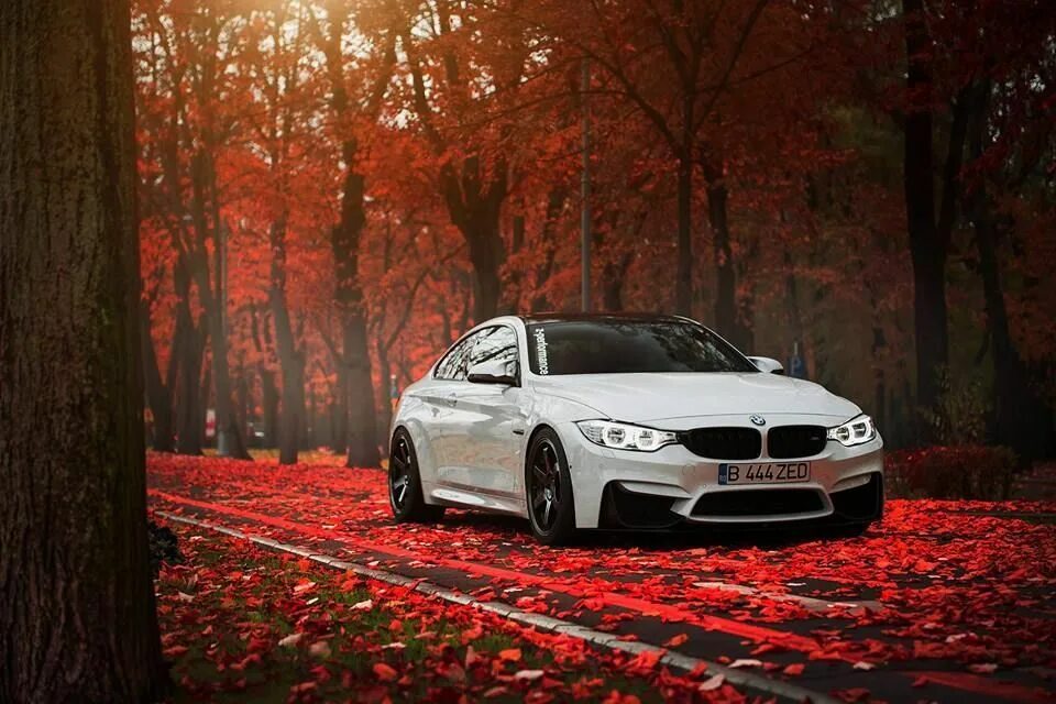 Покажи красивые фото бмв BMW F82 BMW dream car dream BMW white BMW cars car photos fast cars Bmw cars, Bm