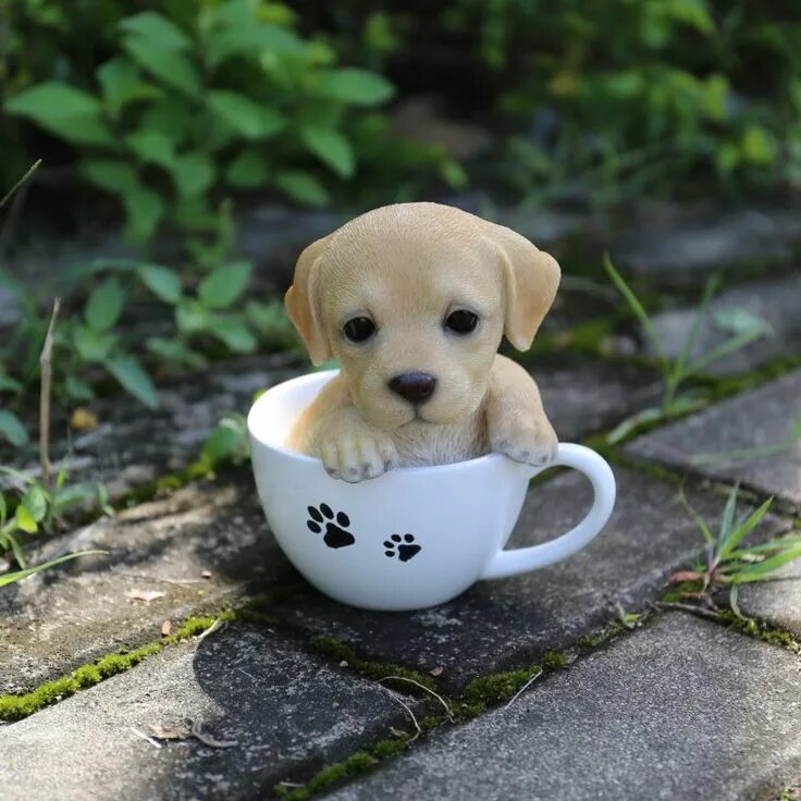 Покажи мне маленьких щенков на фото Hi-Line Gift Ltd. Teacup Labrador Puppy Statue - 87706-A Labrador puppy, Labrado