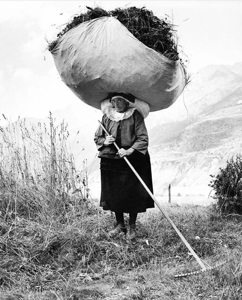 Покажи самые старые фото Бери больше, неси дальше. Женщина с грузом сена на голове. Италия. 1959 г. Фото 