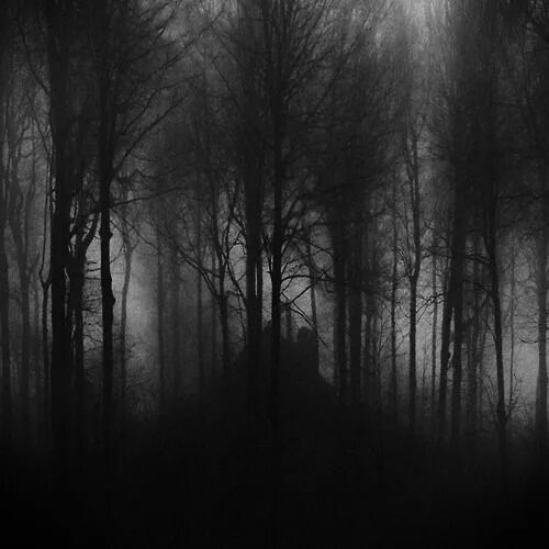 Покажи темные фото Pin by Justine's Halloween on Into the Woods Dark forest, Dark photography, Dark