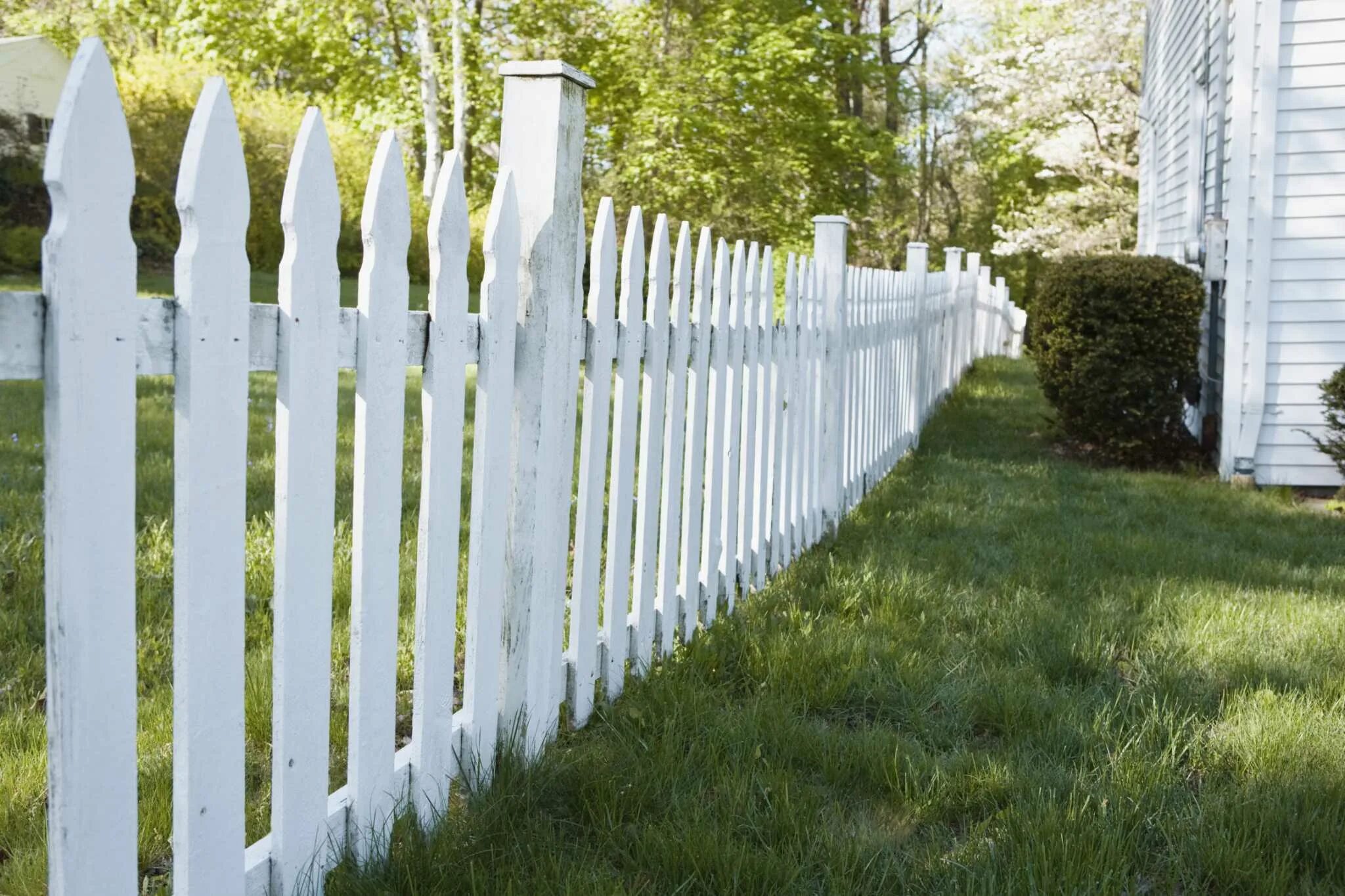 Покрашенный забор фото How To Keep Neighbors' Grass From Growing Under Fence Storables