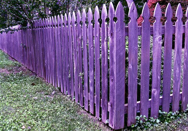 Покрашенный забор фото The purple fence Purple home, All things purple, Shades of purple