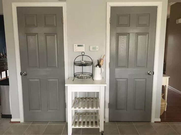 Покрасить двери фото Pantry and basement doors painted in Sherwin Williams Dovetail gray Grey interio