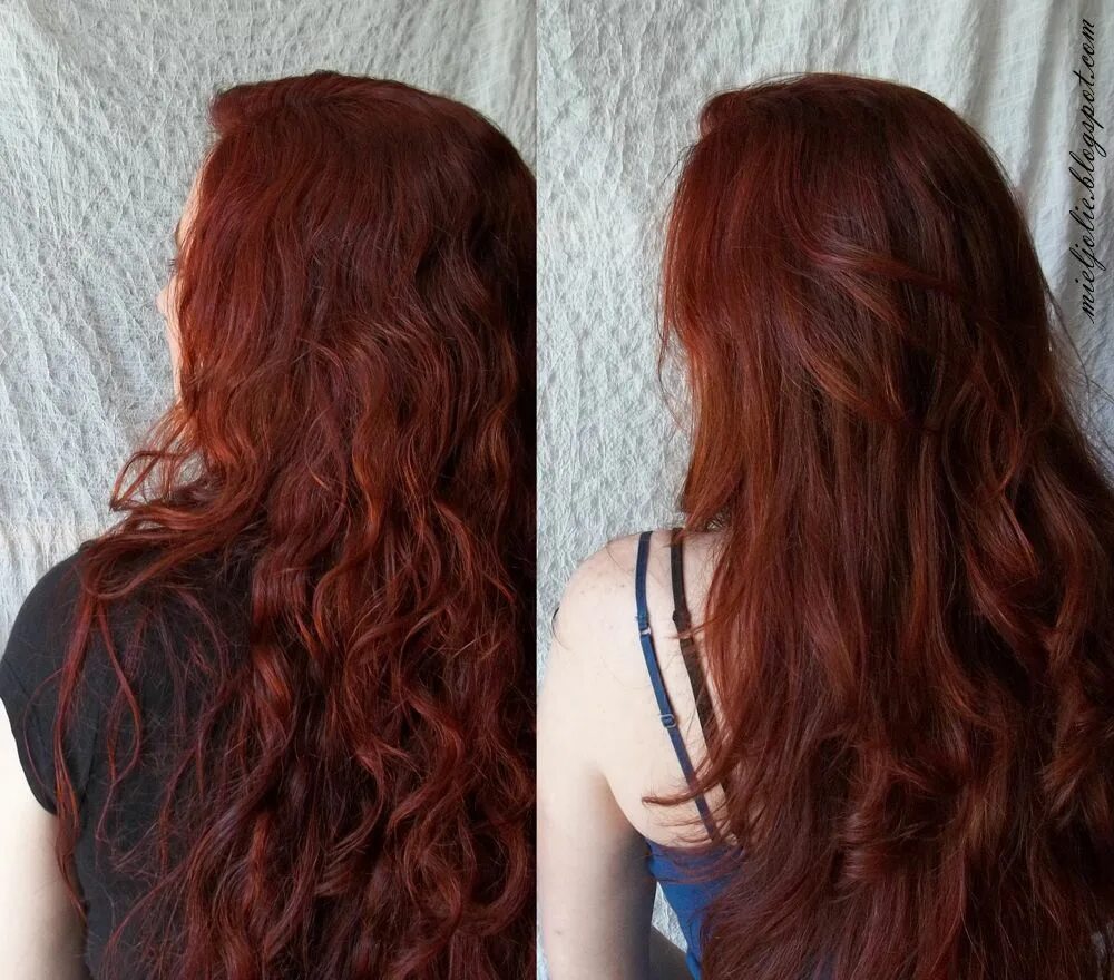 lovelydyedlocks Burgundy hair, Red burgundy hair color, Henna hair dyes