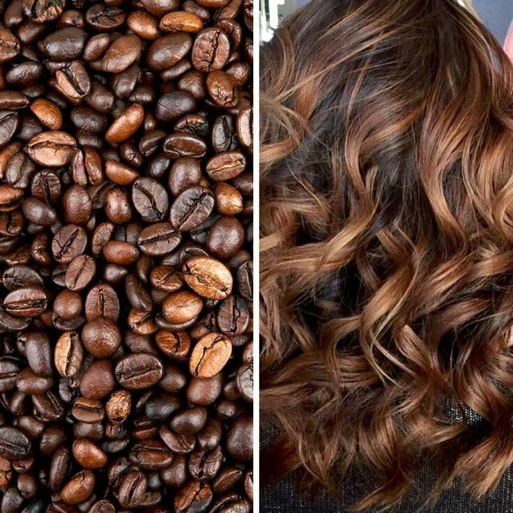 Покрасить волосы кофе фото Paul Mitchell Coffee Balayage Curly hair styles naturally, Highlights curly hair