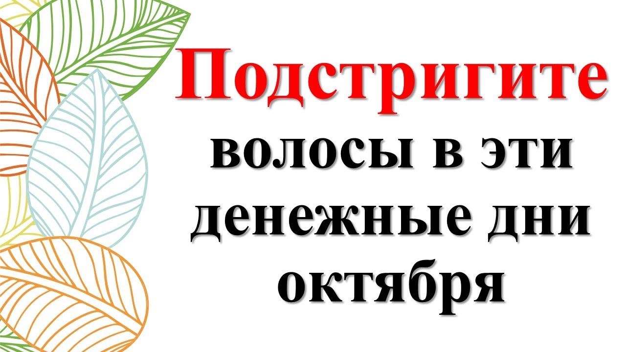 Покраска и стрижка волос в октябре 2024 Когда стричь волосы в октябре 2024 для привлечения достатка и денег. Стрижка по 