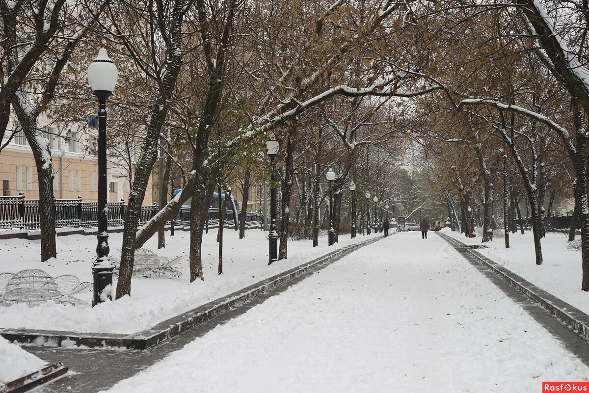 Покровский бульвар москва фото Фото: Покровский бульвар. Фотограф Игорь Белоногов. Город. Фотосайт Расфокус.ру