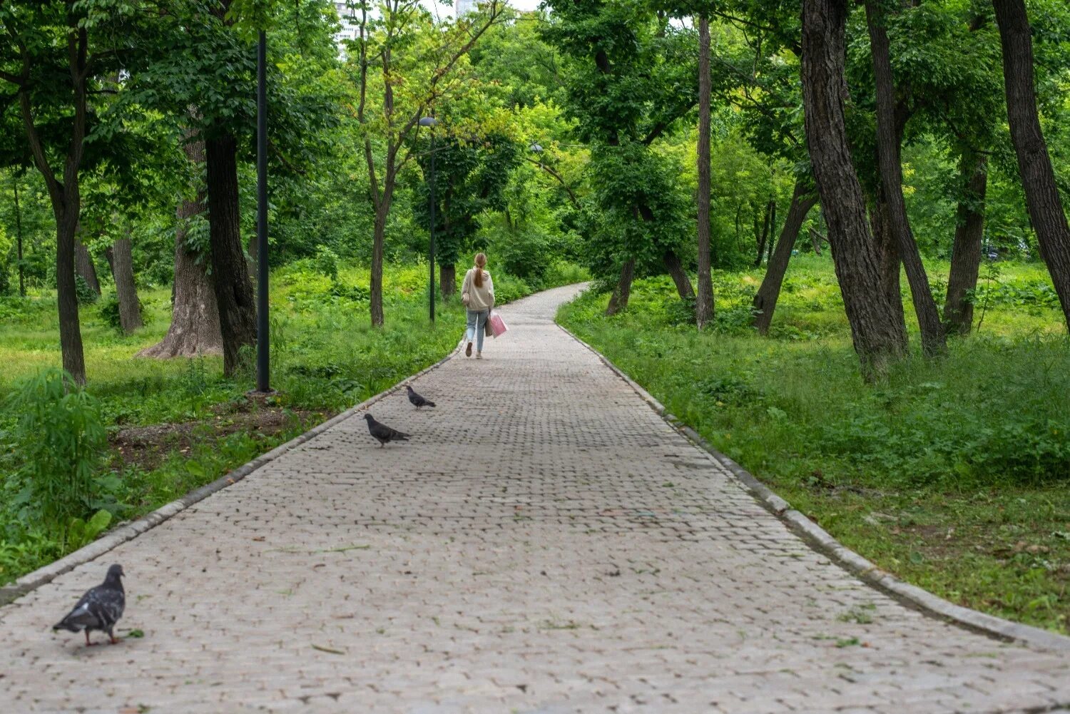 Покровский парк фото Без всяких кавычек: как преобразился Покровский парк во Владивостоке - фото - Но